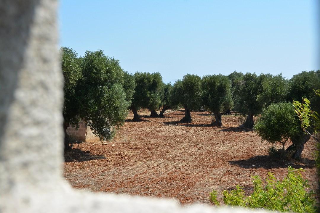 Camera matrimoniale D vista dalla finestra